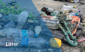 Litter Pothole